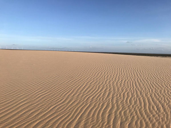 3575c48d-805d-41e1-93b0-c4ff4daf0a92