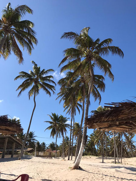 965fe834-e074-42ee-9e70-1ea4e03b37e5