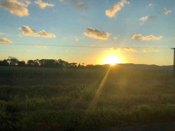 WhatsApp Image 2019-01-27 at 18.56.26 (1)