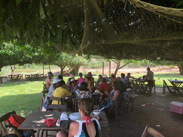 WhatsApp Image 2019-01-28 at 10.02.51